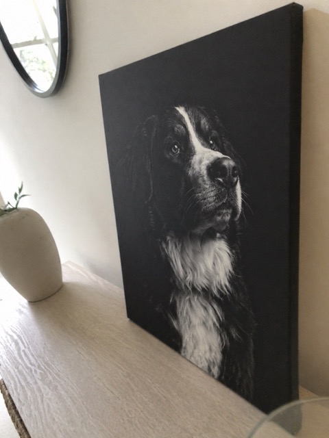Ryan's Black & White Canvas